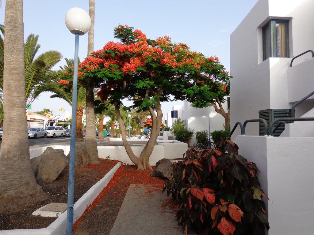Habitaciones Residencial Corralejo Centro Playa エクステリア 写真